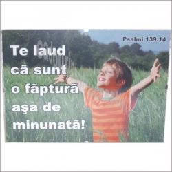 Rama Te laud ca sunt o faptura asa minunata